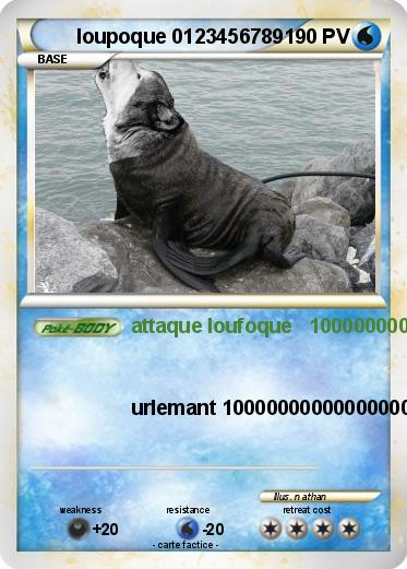 Pokemon loupoque 0123456789