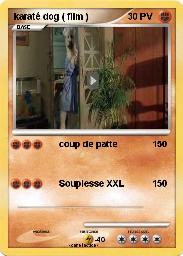 Pokemon karaté dog ( film )