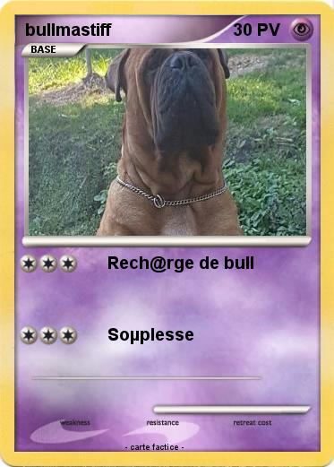 Pokemon bullmastiff