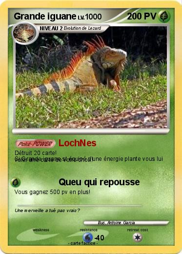 Pokemon Grande iguane