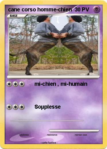 Pokemon cane corso homme-chien