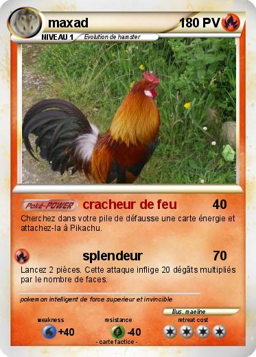 Pokemon maxad