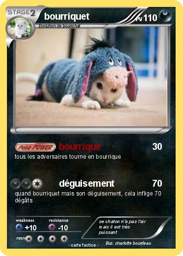Pokemon bourriquet