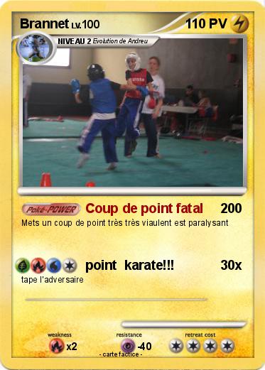 Pokemon Brannet