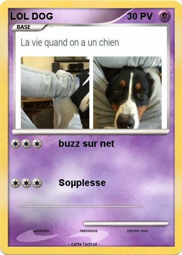 Pokemon LOL DOG