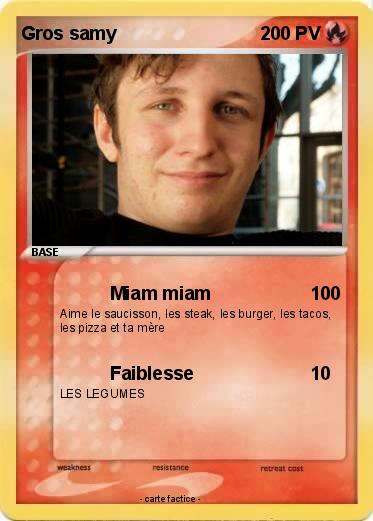 Pokemon Gros samy