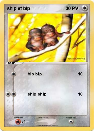 Pokemon ship et bip