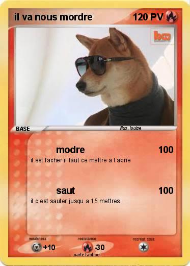 Pokemon il va nous mordre