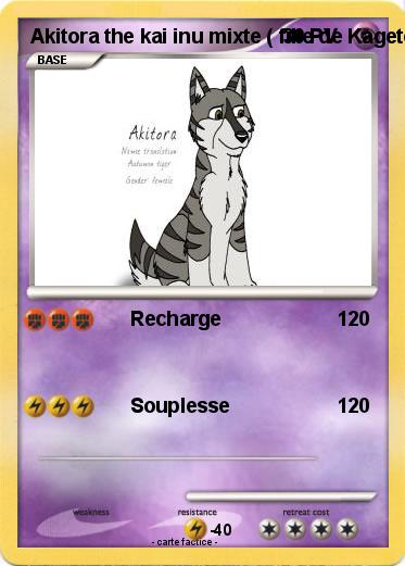 Pokemon Akitora the kai inu mixte ( fille de Kagetora et Ryou )