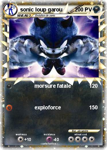 Pokemon sonic loup garou