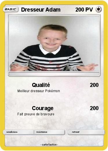 Pokemon Dresseur Adam