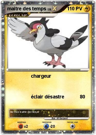 Pokemon maitre des temps