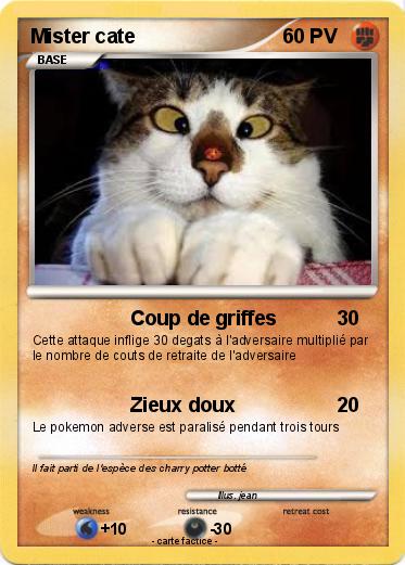 Pokemon Mister cate