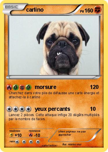 Pokemon carlino