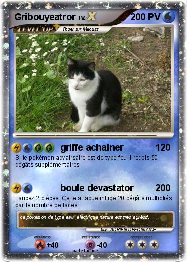Pokemon Gribouyeatror