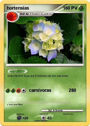Pokemon hortensias