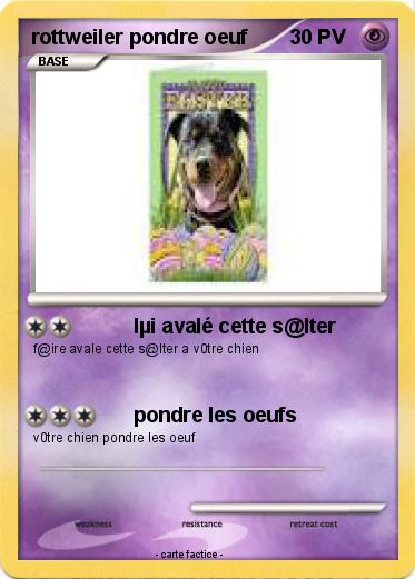 Pokemon rottweiler pondre oeuf