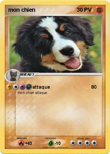 Pokemon mon chien