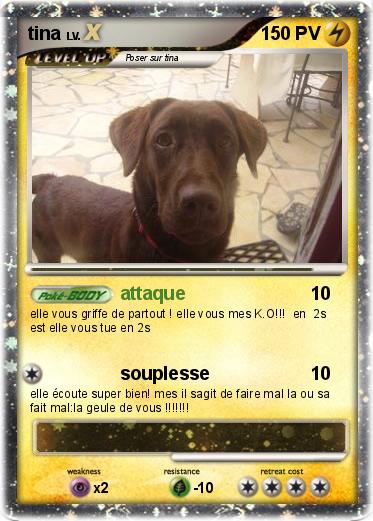 Pokemon tina