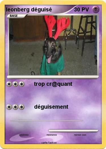 Pokemon leonberg déguisé