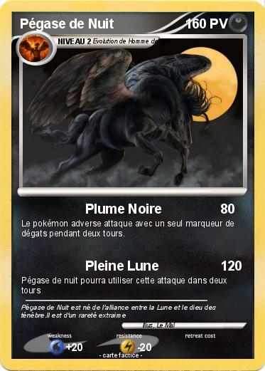 Pokemon Pégase de Nuit