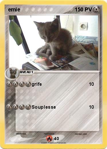 Pokemon emie