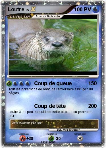 Pokemon Loutre