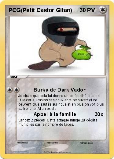 Pokemon PCG(Petit Castor Gitan)