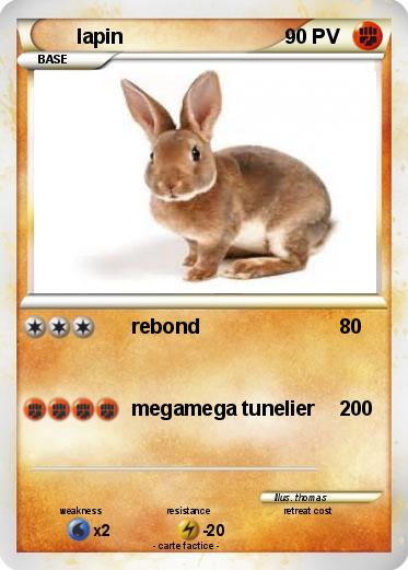 Pokemon lapin