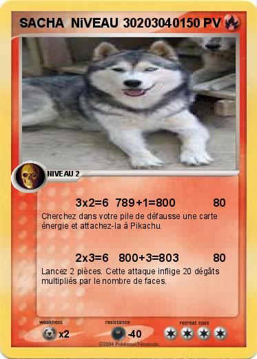 Pokemon SACHA  NiVEAU 30203040