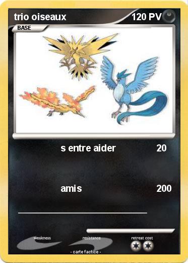 Pokemon trio oiseaux