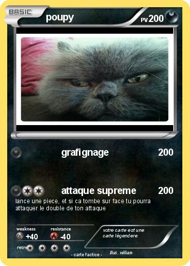 Pokemon poupy