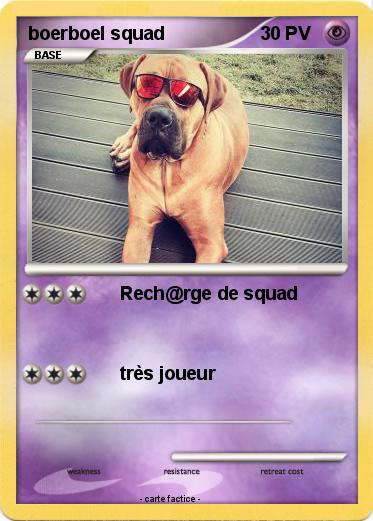 Pokemon boerboel squad