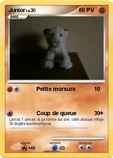 Pokemon Junior
