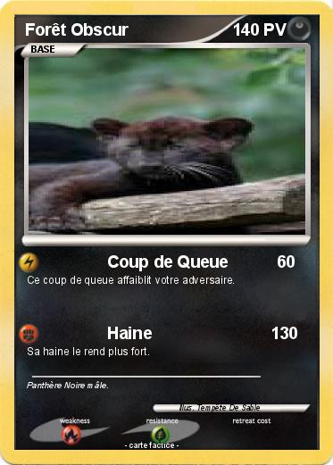 Pokemon Forêt Obscur