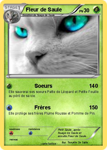 Pokemon Fleur de Saule