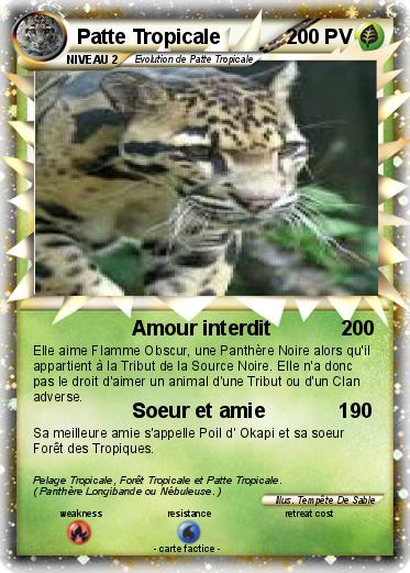 Pokemon Patte Tropicale