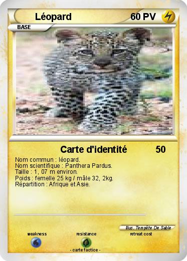 Pokemon Léopard