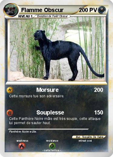 Pokemon Flamme Obscur
