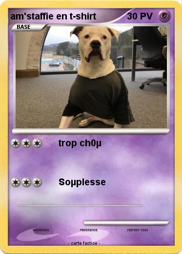 Pokemon am'staffie en t-shirt