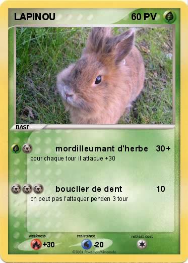 Pokemon LAPINOU