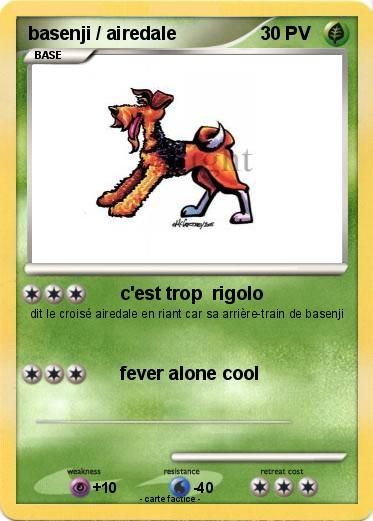 Pokemon basenji / airedale