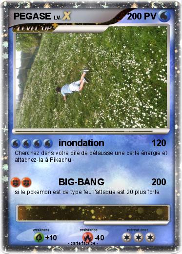 Pokemon PEGASE