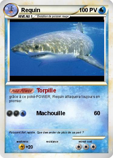Pokemon Requin