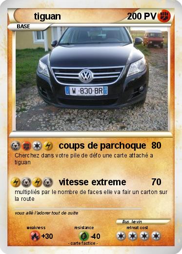 Pokemon tiguan