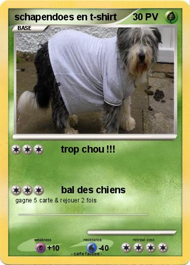 Pokemon schapendoes en t-shirt