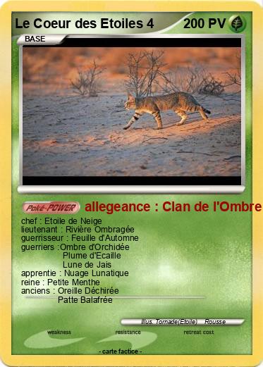 Pokemon Le Coeur des Etoiles 4