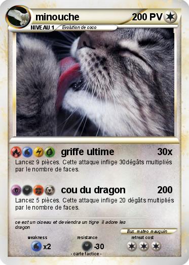 Pokemon minouche