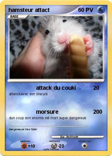 Pokemon hamsteur attact