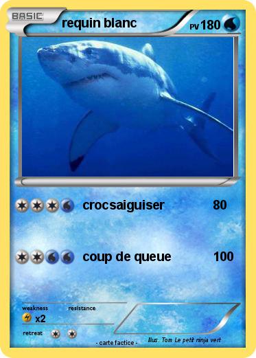 Pokemon requin blanc
